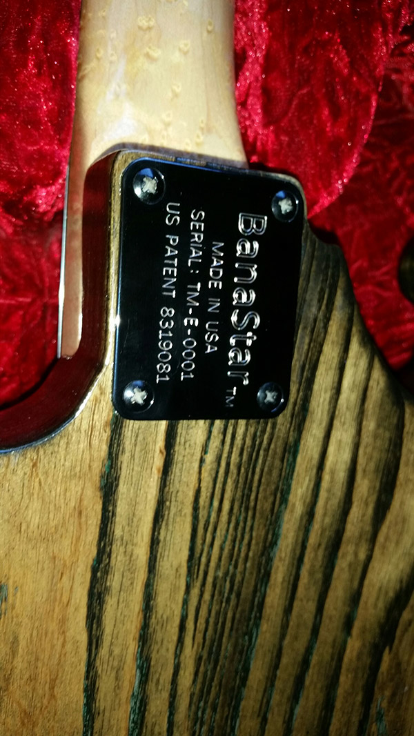 photo of banastar® stringed musical instrument