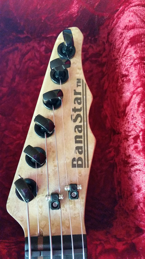 photo of banastar® stringed musical instrument