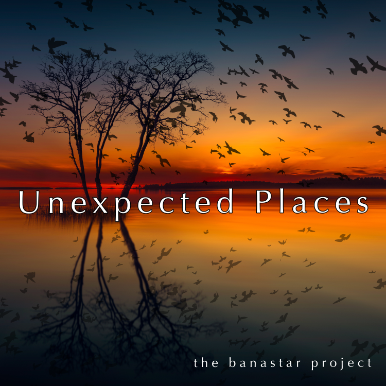 photo of the cover art for the Unexpected Places album depicting a beautiful sunset with birds